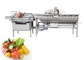 SUS 304 Stainless Steel Industrial Vegetable Washer Machine 600KG Weight