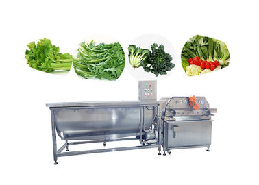 凍らせていた野菜レタスの生産ラインをきれいにする泡立つ野菜フルーツの洗濯機サラダ